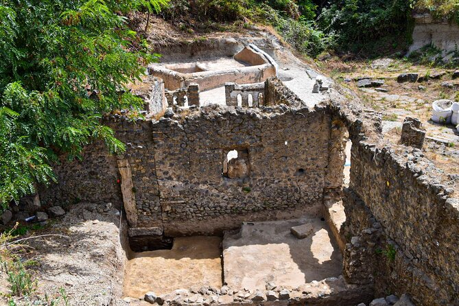 Pompeii Guided Tour & Lunch with Superior Wine Tasting - Pompeii practical advice: shoes, heat, and limited time