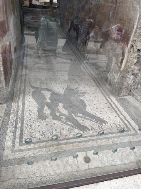 Pompeii: Guided Tour & Skip the Line Ticket - The House of the Golden Cupids