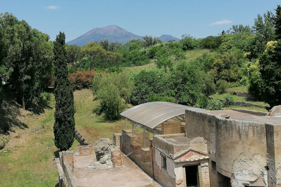 Pompeii: Guided Tour with Archaeologist with max. 12 People - The plaster casts and the human cost of AD 79