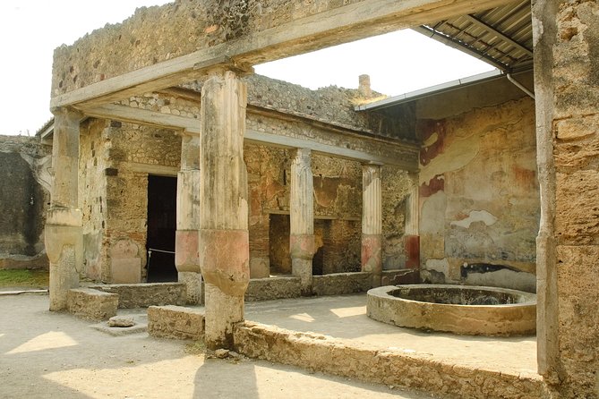 Pompeii Guided Walking Tour with Ticket - The Stabian Baths and the practical Roman city