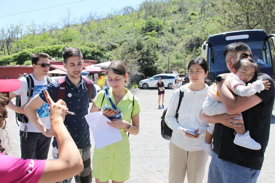 Pompeii-Herculaneum and Vesuvius Full-Day Tour - Who will get the most from this day