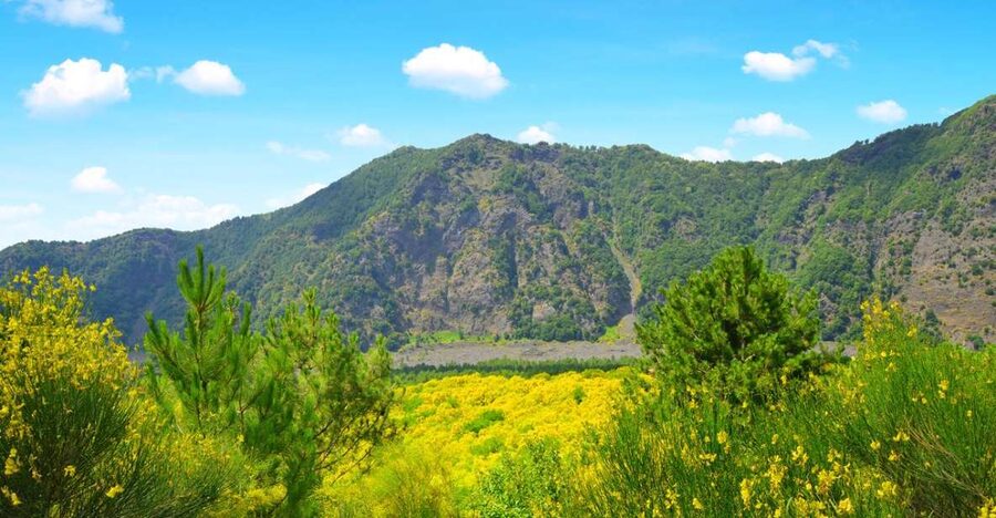 Pompeii, Herculaneum and Vesuvius Tour - Mount Vesuvius and the walk to the crater