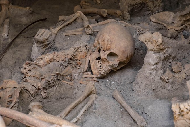 Pompeii, Herculaneum and Winery on Vesuvius with an Archaeologist - Pace, heat, and family comfort