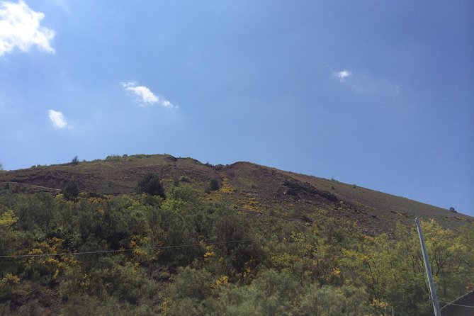 Pompeii, Herculaneum & Mt. Vesuvius Guided Tour from Sorrento - Why this private Sorrento day works