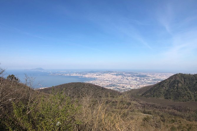 Pompeii, Herculaneum & Mt. Vesuvius Guided Tour from Sorrento - Who should choose this tour