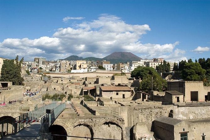 Pompeii, Herculaneum & Mt. Vesuvius Guided Tour from Sorrento - The climb on Mount Vesuvius