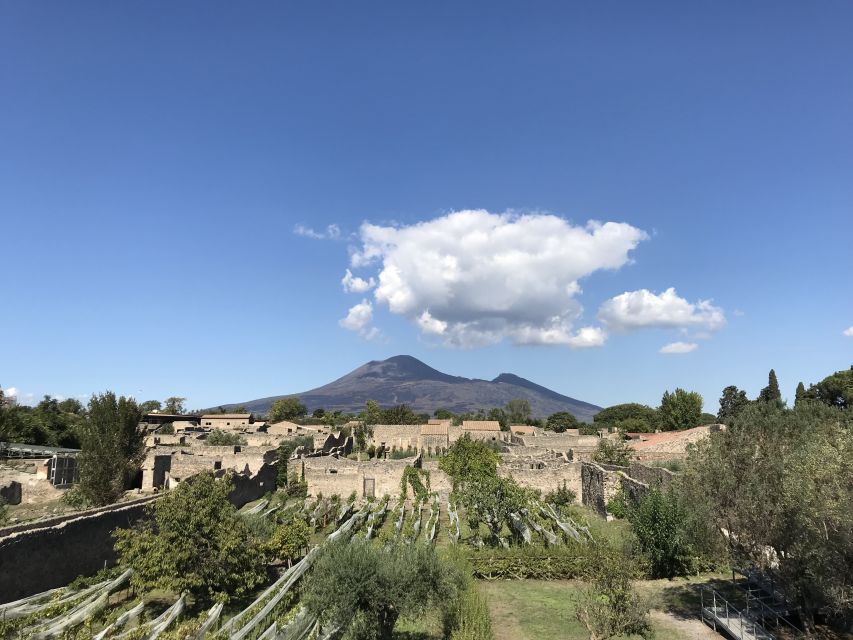 Pompeii & Herculaneum Private Skip-the-Line Tour with Ticket - Key points to know before booking