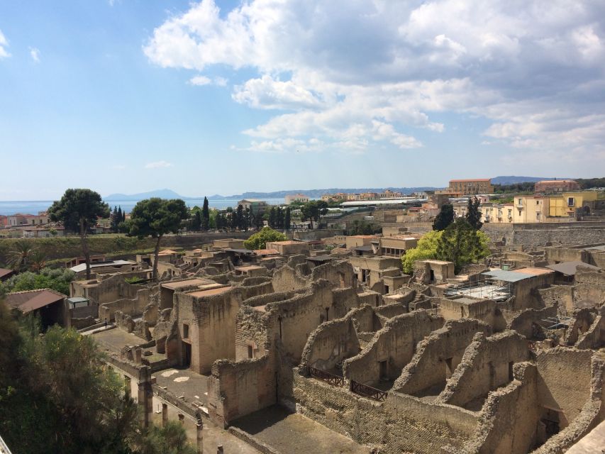 Pompeii & Herculaneum Private Skip-the-Line Tour with Ticket - Meeting at Porta Marina Superiore