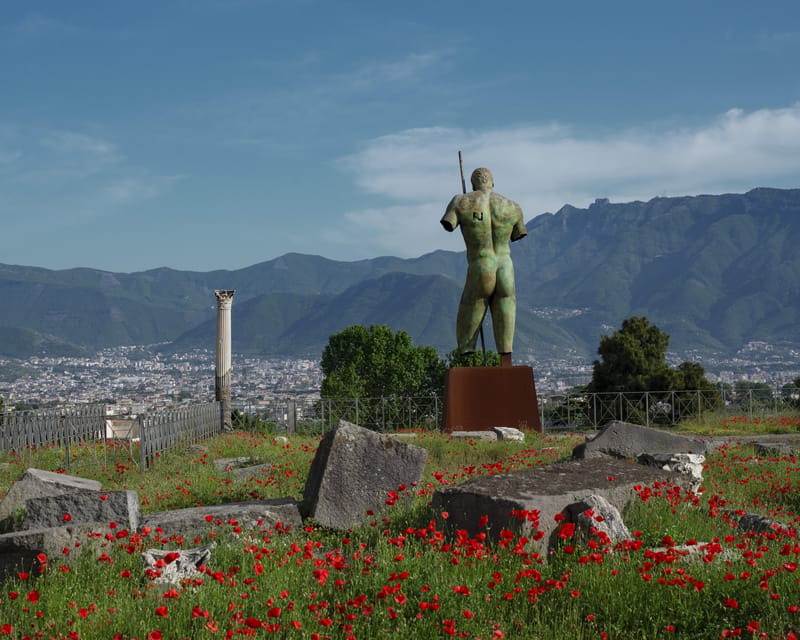 Pompeii & Herculaneum: Skip-the-line & Digital Guide App - Key points to know before booking