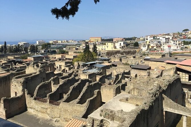 Pompeii, Herculaneum & Wine Tour, with Licensed Guide included - Why this private Pompeii and Herculaneum day works