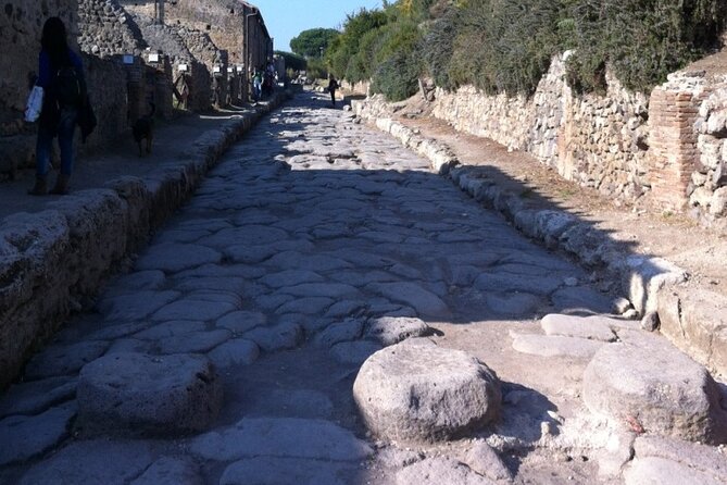 Pompeii, Herculaneum & Wine Tour, with Licensed Guide included - The real cost at $606.43 per person