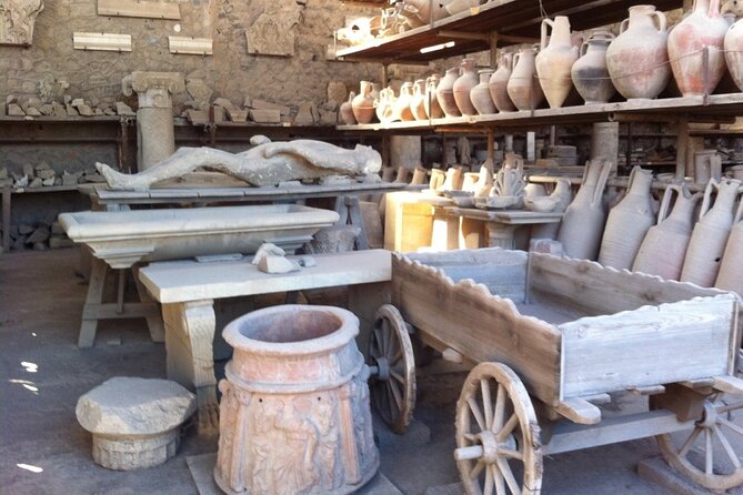 Pompeii, Herculaneum & Wine Tour, with Licensed Guide included - Who will enjoy this day most