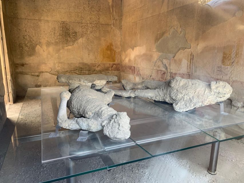 Pompeii in 2h and 30mnt: walk with local guide - The casts and the final moments of Pompeii