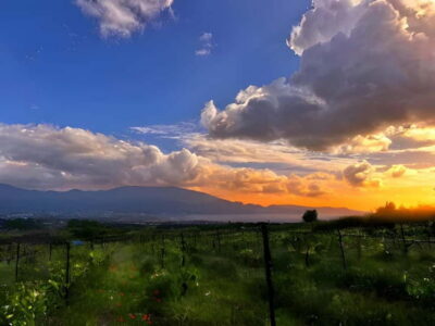 Mount Vesuvius Night Horseback Ride and Italian BBQ