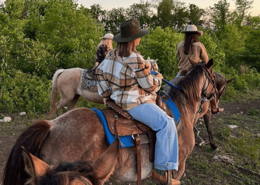 Pompeii: Mount Vesuvius Night Horseback Ride and Italian BBQ - Who should book this Mount Vesuvius experience?
