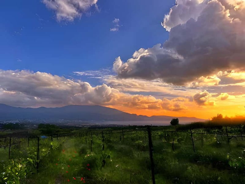 Pompeii: Mount Vesuvius Night Horseback Ride and Italian BBQ - From Pompeii to the vineyards in 20 minutes