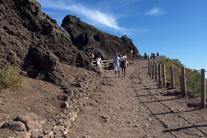Pompeii & Mount Vesuvius Private Tour with Guide - Why the private format can be worth the price