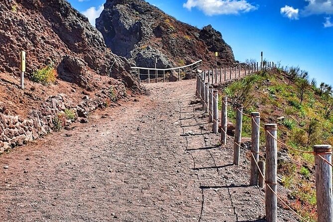 Pompeii & Mount Vesuvius Tour with Guided Visit, Tickets & Lunch - Why this day works so well from Sorrento
