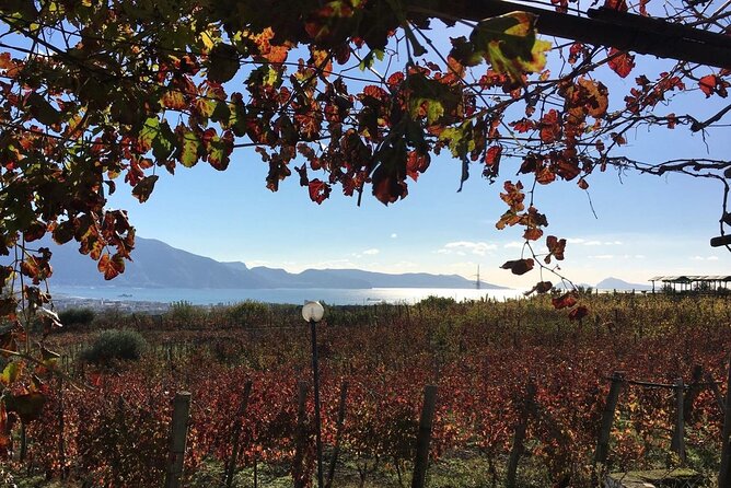 Pompeii, Mt Vesuvius and Wine Tour - Practical ways to enjoy the day