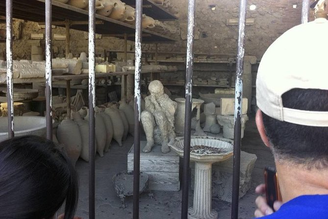 Pompeii New Discoveries Private Guided Tour - Wheelchair access and group comfort