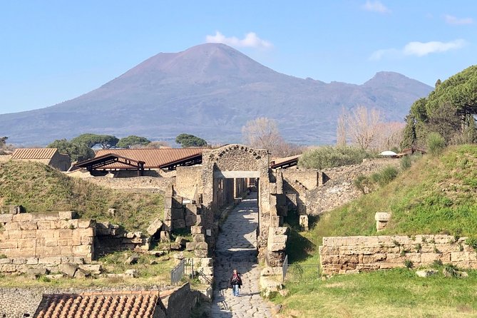 Pompeii New Discoveries Private Guided Tour - Starting at Piazza Esedra