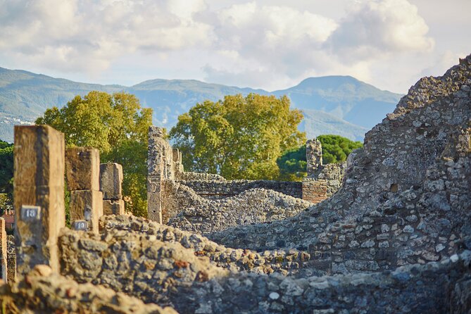 Pompeii Private & Personalized Tour with archeology expert guide - Limits you should understand before you go