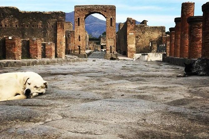 Pompeii Private Tour with Expert Guide - Homes, villas, and the Lupanare