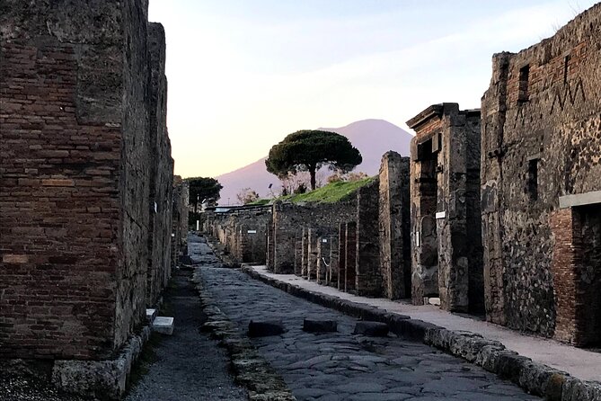 Pompeii Private Tour with expert local guide - Why a private guide changes Pompeii