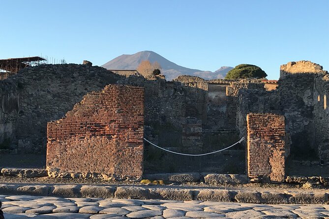 Pompeii Private Tour with expert local guide - Is $228.78 good value for your group?