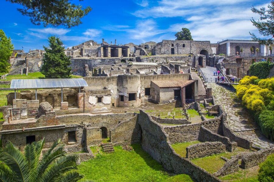 Pompeii: Private Tour with Hotel Pickup and Entry Ticket - Who will get the most from this tour?