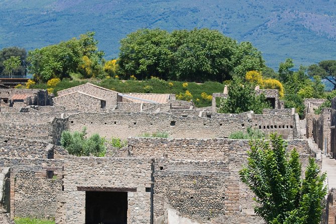 Pompeii Ruins Half-Day Tour from Sorrento with Guide - Thermal Baths and the details of daily life