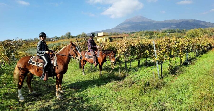 Pompeii: Ruins Tour and Mount Vesuvius Horseback Ride - The Short Drive Toward Vesuvius