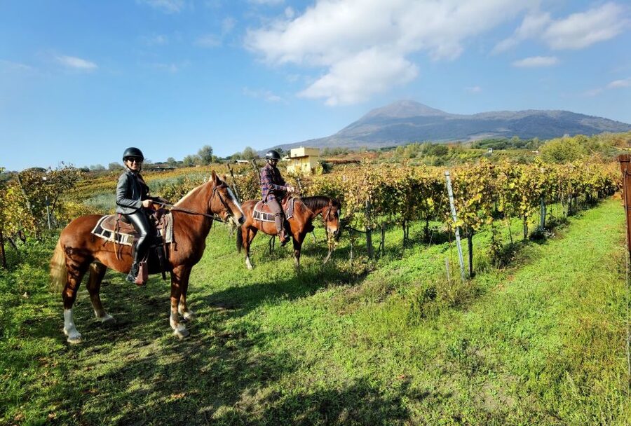 Pompeii: Ruins Tour and Mount Vesuvius Horseback Ride - Two Hours Inside Pompeii