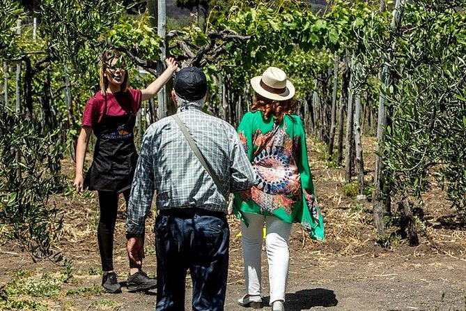 Pompeii Ruins & Wine Tasting with Lunch on Vesuvius with Private Transfer - Adding Herculaneum to the day