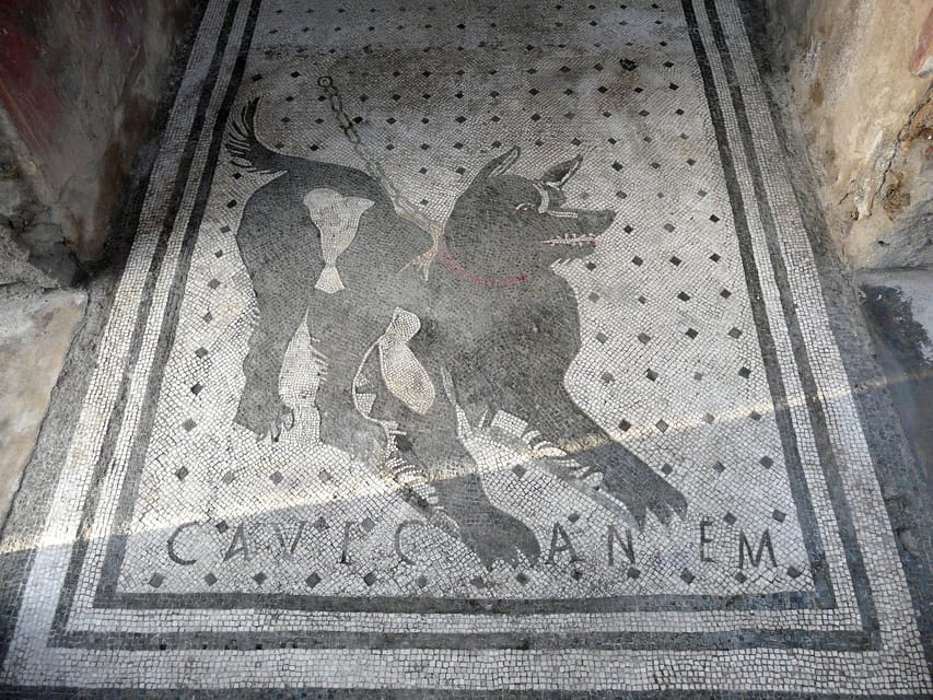 Pompeii: Skip-the-Line Entry & Audioguide - Starting at the forum beneath Vesuvius