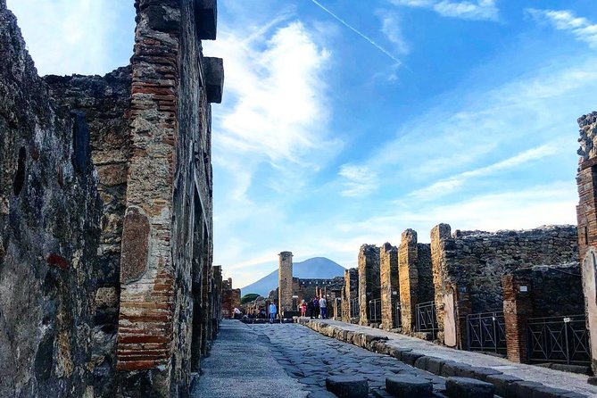 Pompeii Skip-the-Line Entry Small Group Guided Tour - The eruption and the human cost