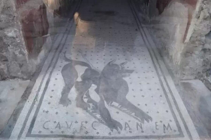Pompeii: Skip the Line Ticket + Audioguide - The important omission: Villa dei Misteri