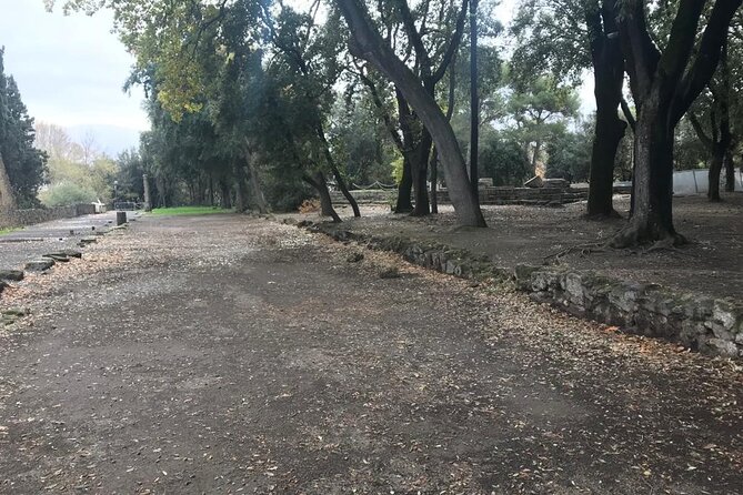 Pompeii Small Group Guided Tour with Skip-the-line Admission - The Forum and public life at the center of Pompeii