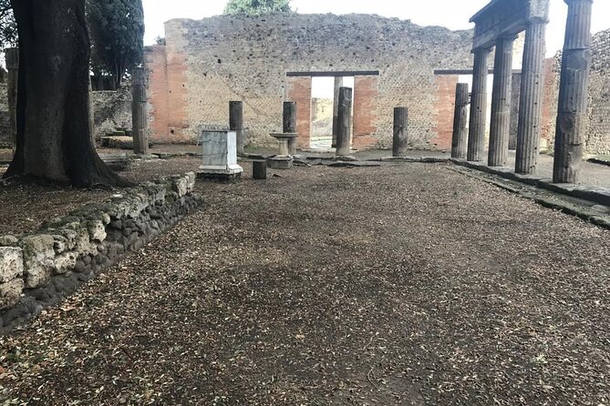 Pompeii Small Group Guided Tour with Skip-the-line Admission - The houses of Pompeii’s wealthy residents