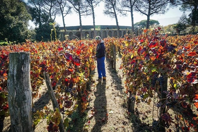 Pompeii Small Group Tour & Food/Wine tasting at Mt. Vesuvius - Why pair Pompeii with a Vesuvian vineyard?