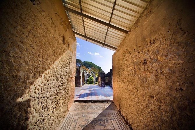 Pompeii Small Group Tour & Food/Wine tasting at Mt. Vesuvius - Meeting at Porta Marina Superiore