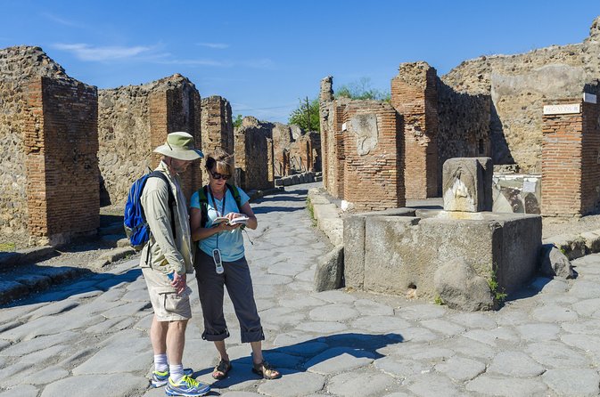 Pompeii Small Group Tour with an Archaeologist - Walking an original Pompeii street