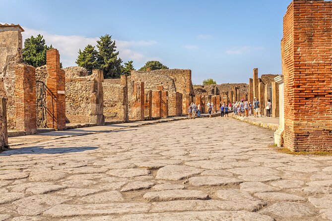 Pompeii Ticket + Tour with Optional Tasting Experience at Pompeii - Walking on ancient stones
