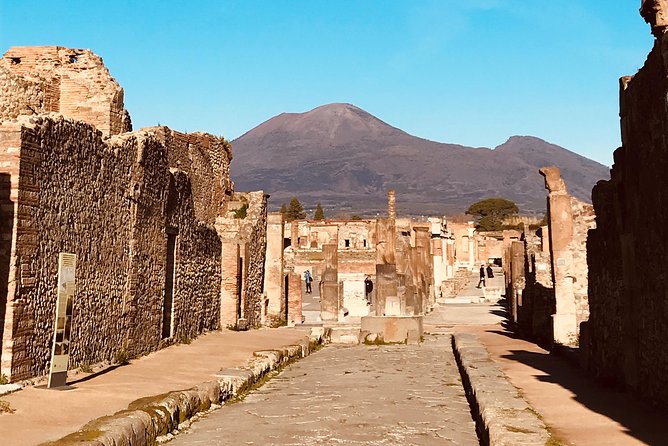 Pompeii Tour & Admission included in a Small Group - Starting at Porta Marina with Vesuvius in view