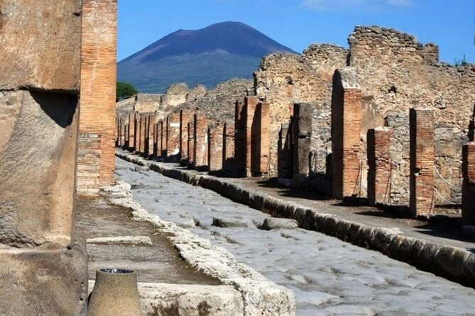Pompeii Tour from Sorrento (tickets not included) - Private transport from your Sorrento pickup point