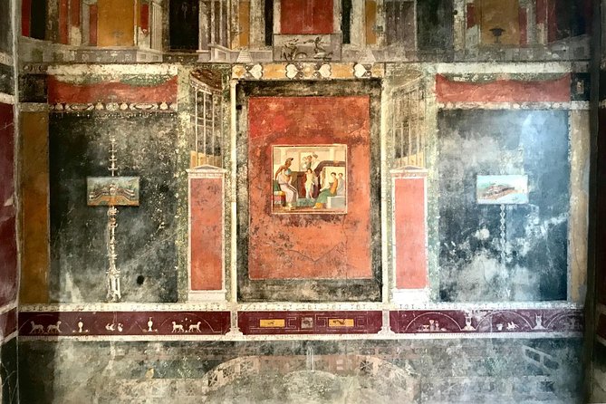 Pompeii Tour & Lunch with Wine Tasting Experience - Walking through Pompeii with a local guide