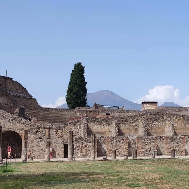 Pompeii Tour with Archaeological Expert and Lunch - The Roman Forum, Pompeii’s civic center