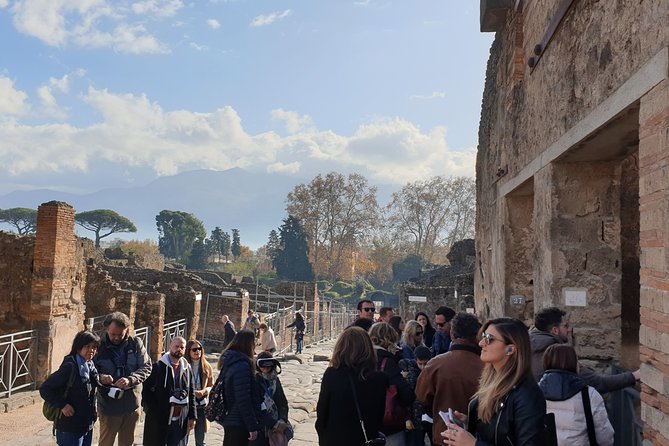 Pompeii tour with entrance ticket! - Who should book this Pompeii experience?