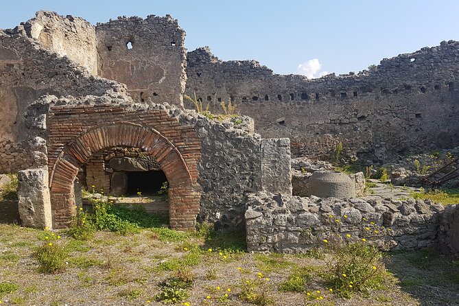 Pompeii Tour with experienced guide - Homes with gardens, where private life comes into view