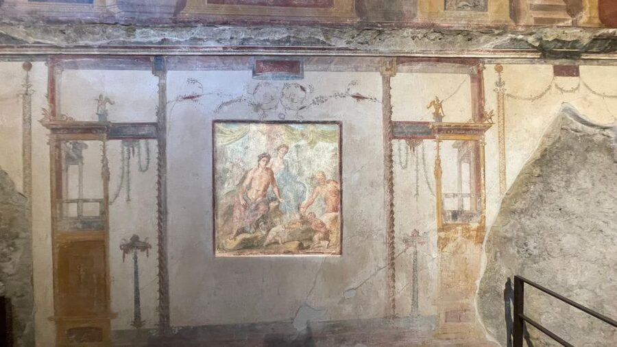 Pompeii - Vesuvius & Wine from Amalfi Coast all inclusive - What the $284.46 Price Really Covers